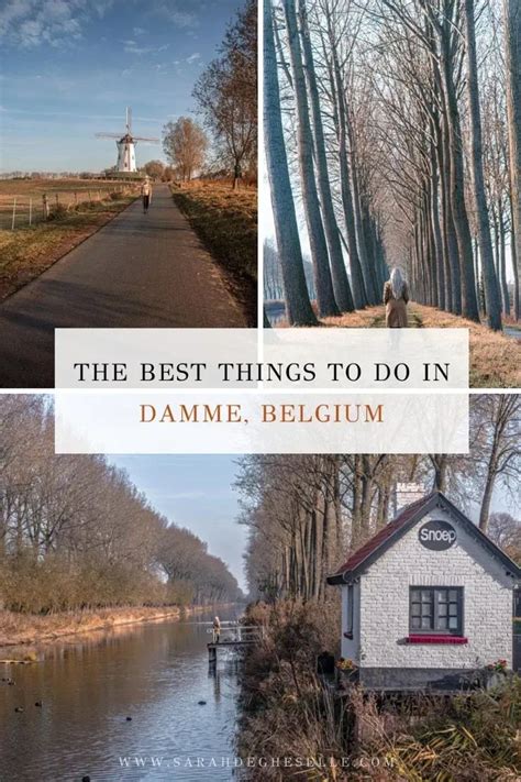 damme belgium|Fun things to do in Damme 